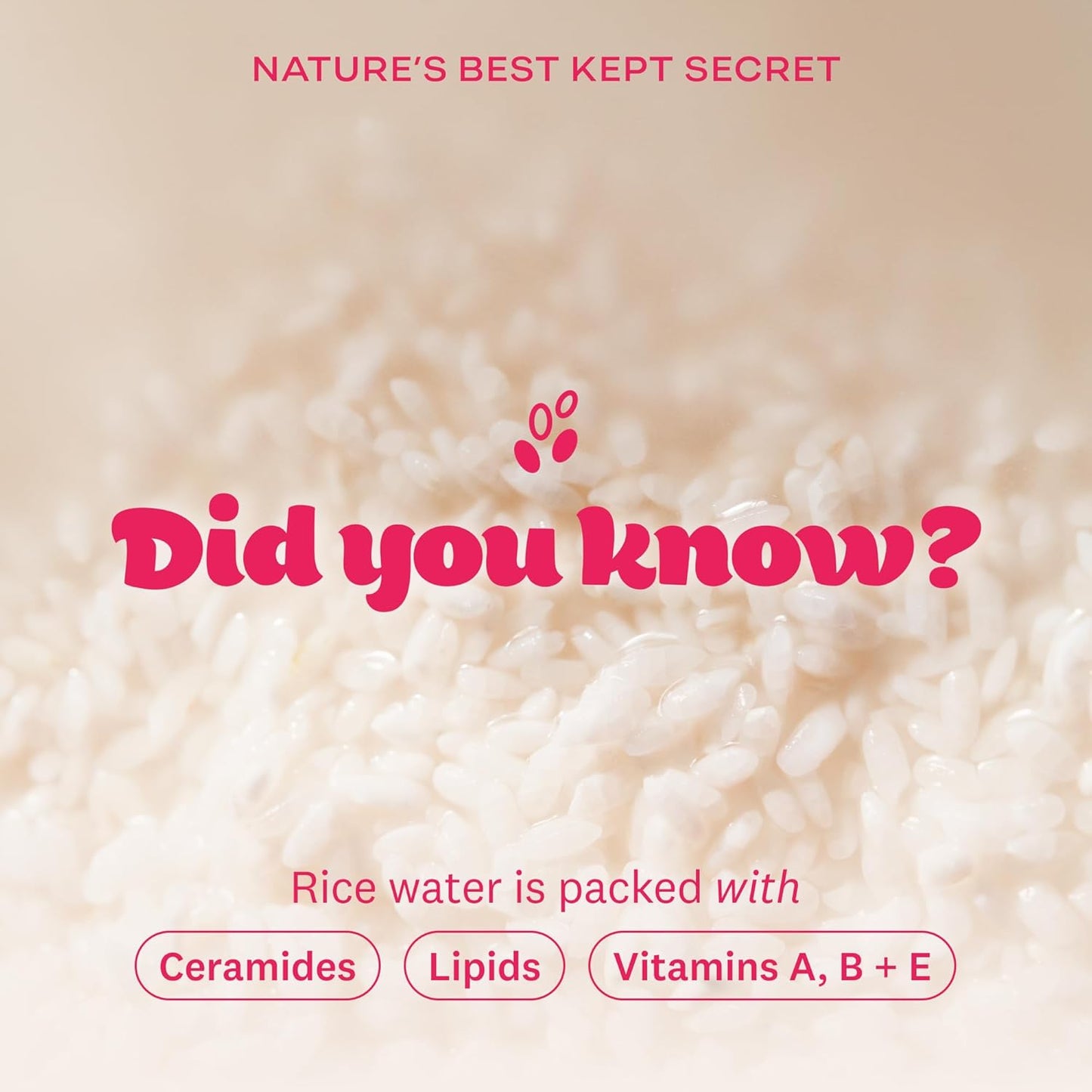 "Korean Rice Water Bright Cleansing Duo – Hydrating & Pore Care Set"